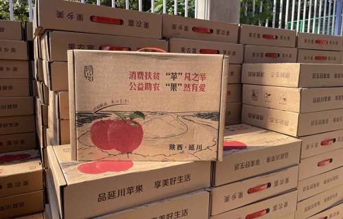 5E对战平台“扶贫助农，振兴乡村”活动